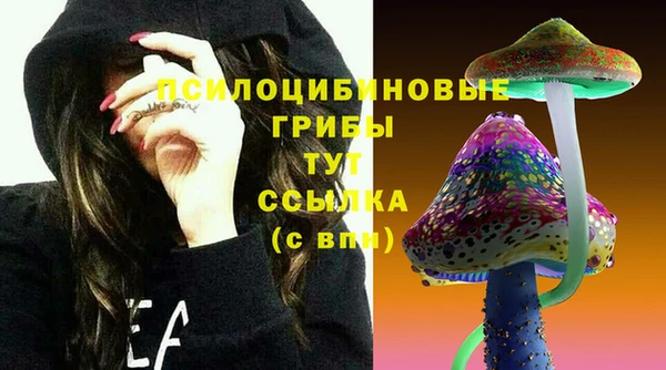 синтетический гашиш Дмитров