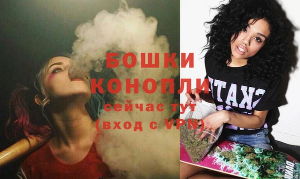 гидропоника Дмитровск