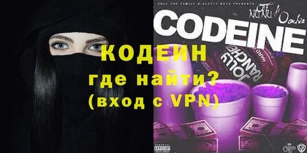 мдпв Новозыбков