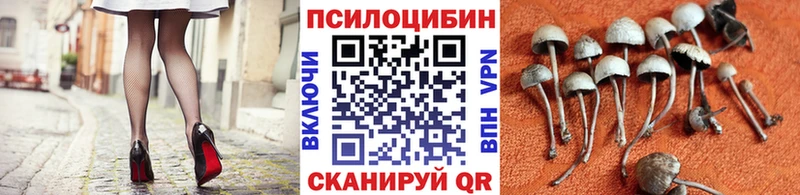 Галлюциногенные грибы Psilocybine cubensis  Петухово 
